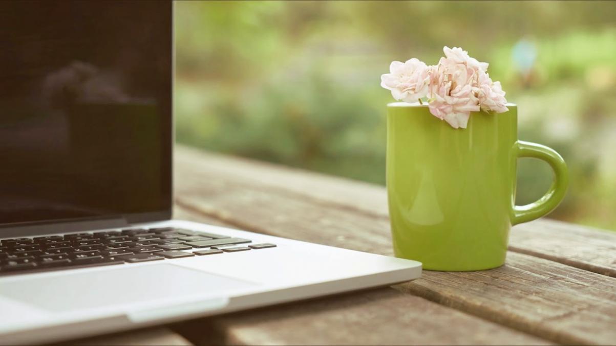 Financial analysis and modelling workspace